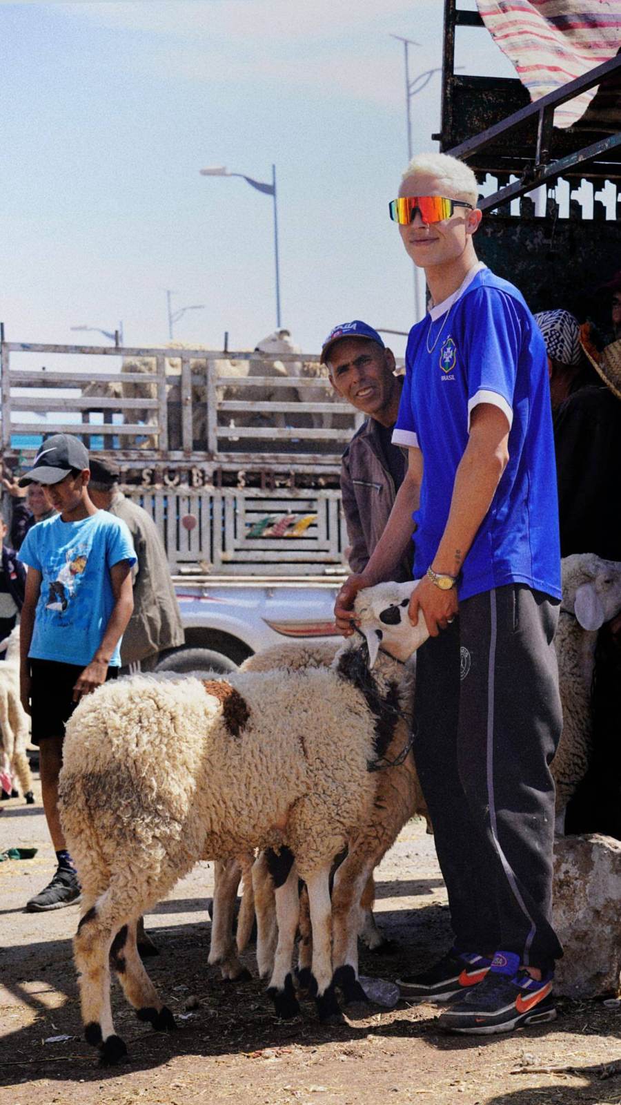 Marché aux moutons, Maroc