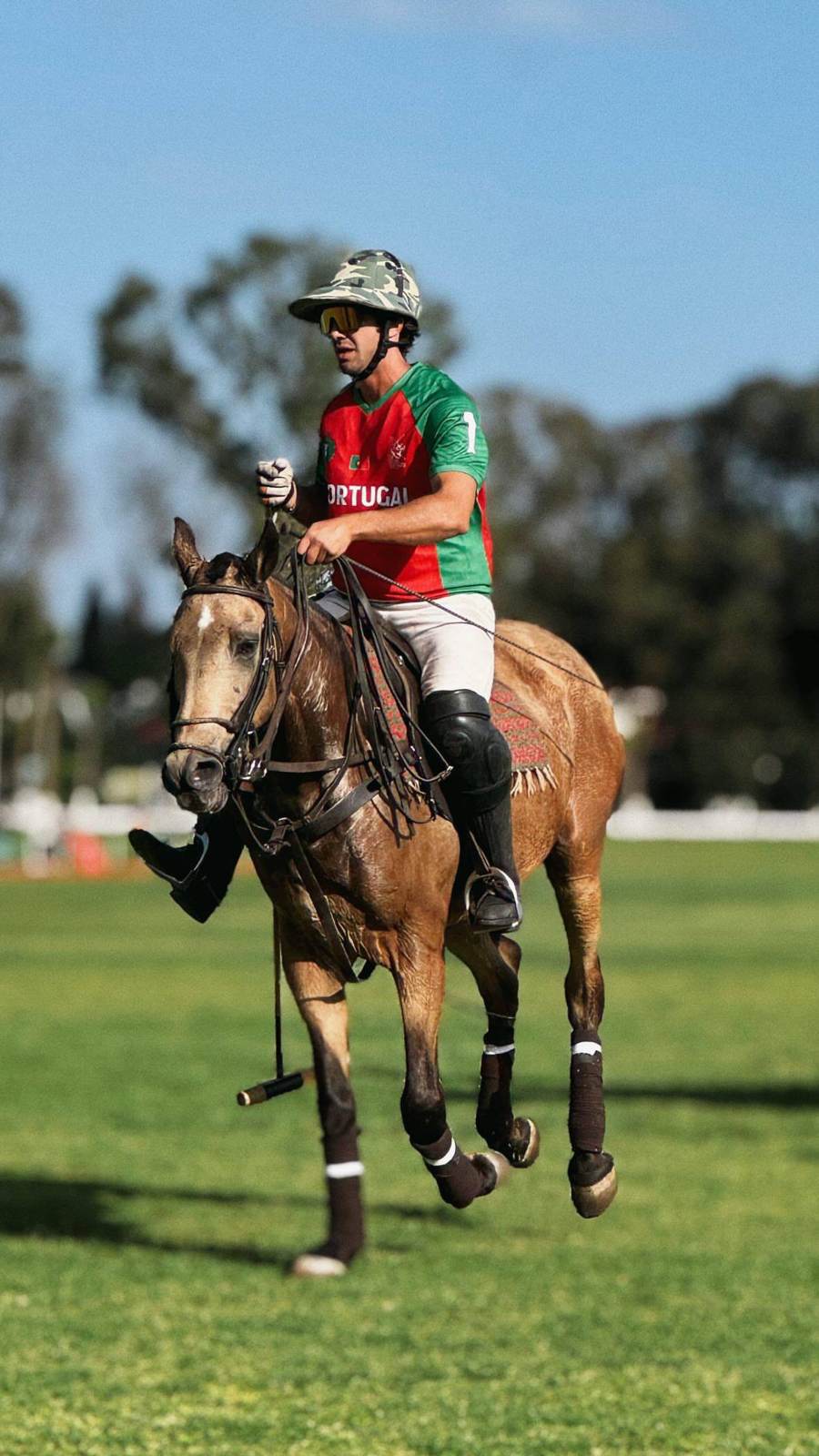 Polo, galop