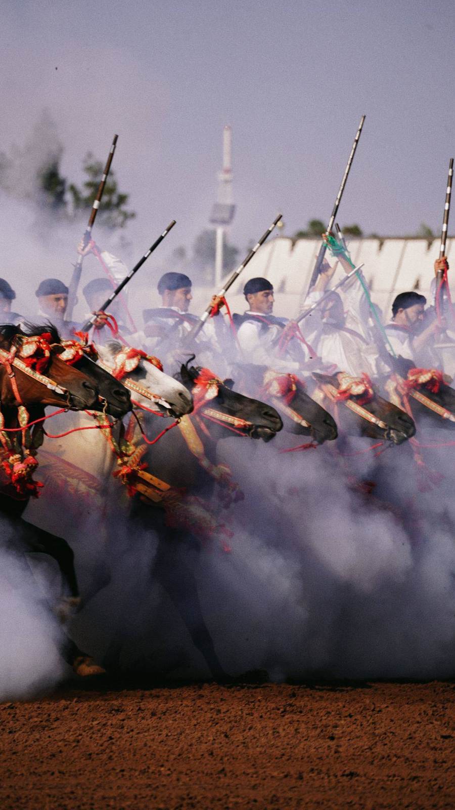 Fantasia, charge, Maroc
